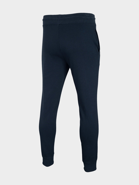 Spodnie dresowe męskie 4F 4FSS22TTROM105-31S