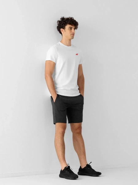 Koszulka męska 4F 4FWSS24TTSHM1899-10S