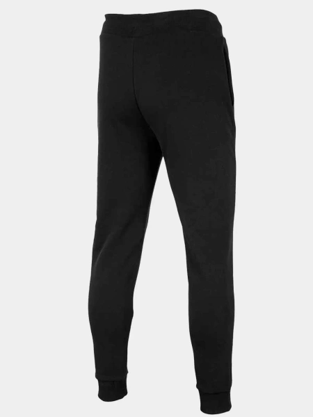 Spodnie dresowe męskie 4F H4Z22-SPMD350-20S