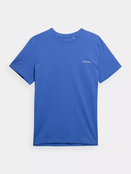 Koszulka męska 4F 4FSS23TTSHM360-36S