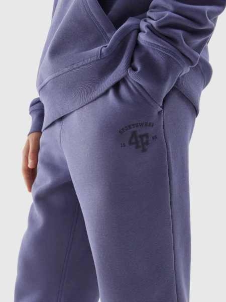 Spodnie dresowe dziecięce 4F 4FJAW23TTROM419-32S 