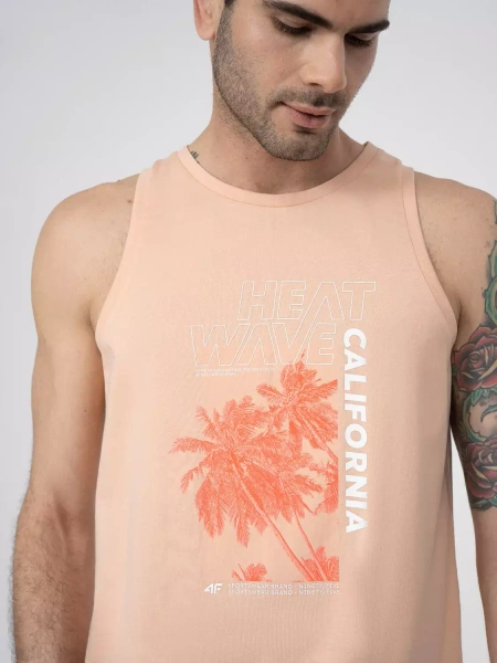 Koszulka męska 4F 4FSS23TTSHM354-64S