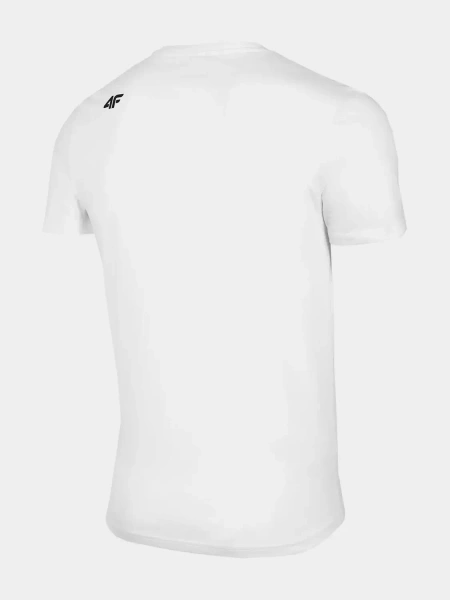Koszulka męska 4F 4FAW22TTSHM697-90S 3-PAK