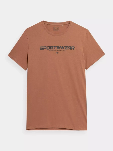 Koszulka męska 4F 4FSS23TTSHM364-81S