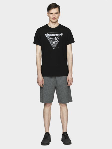 Koszulka męska 4F H4L21-TSM022-20S