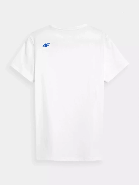 Koszulka męska 4F 4FWSS23TTSHM1233-91S 3PAK