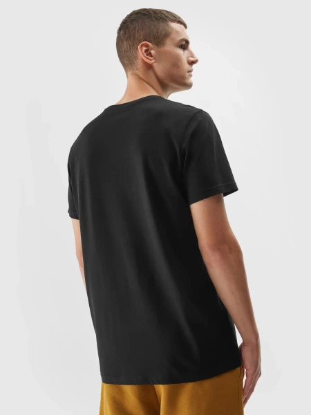 Koszulka męska 4F 4FAW23TTSHM0951-20S