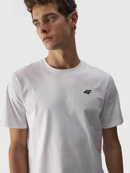 Koszulka męska 4F 4FWMM00TTSHM1843-10S