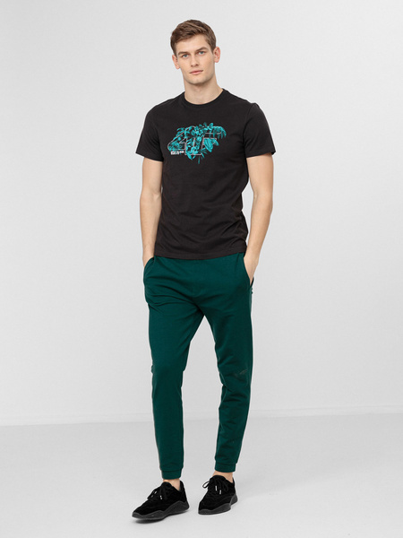 Koszulka męska 4F H4L22-TSM038-22S