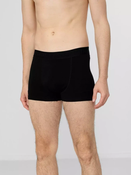 Bokserki męskie 4F H4Z22-BIM350-91S