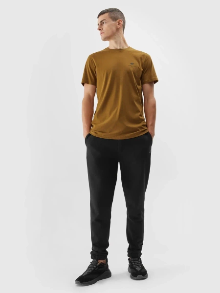 Koszulka męska 4F 4FAW23TTSHM0951-74S