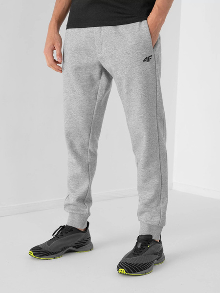 Spodnie dresowe męskie 4F NOSH4-SPMD350-27M