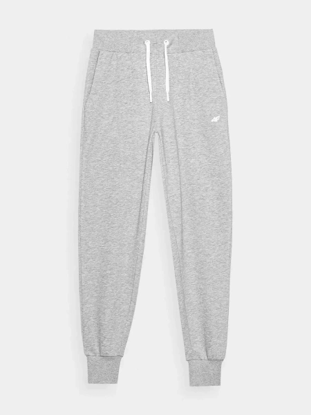 Spodnie dresowe damskie 4F 4FSS23TTROF229-27M