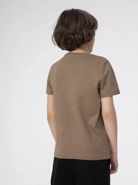 Koszulka dziecięca 4F 4FJSS23TTSHM293-83S