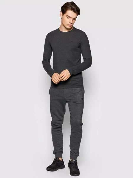 Spodnie dresowe męskie 4F H4Z22-SPMD351-23M