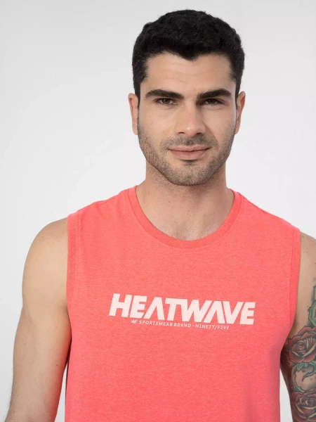 Koszulka męska 4F 4FSS23TTSHM357-62N