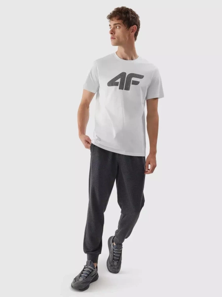 Koszulka męska 4F 4FAW23TTSHM0877-10S