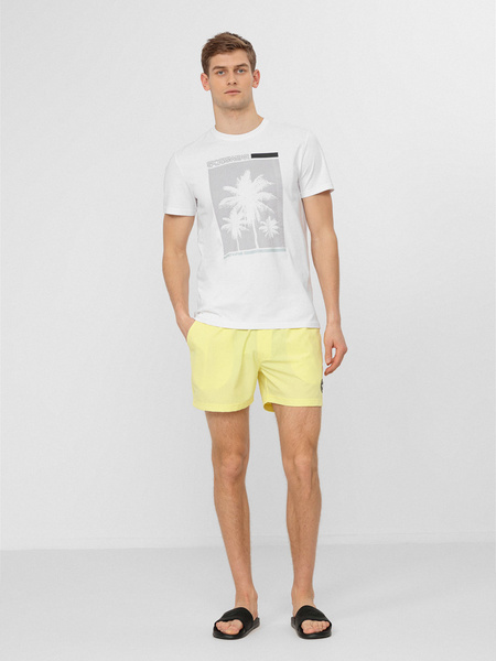 Koszulka męska 4F H4L22-TSM040-10S