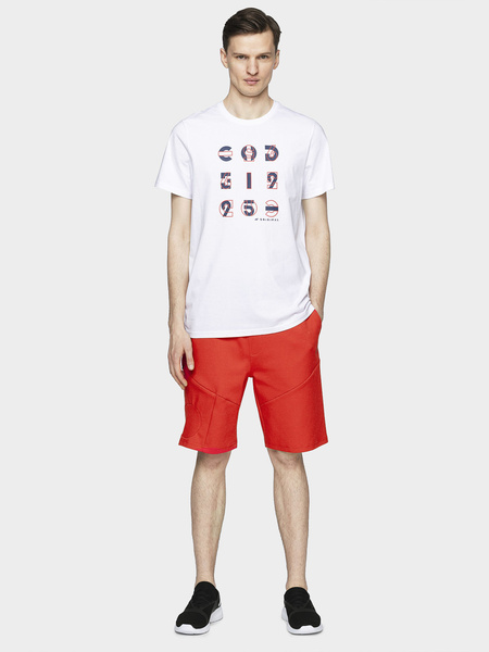 Koszulka męska 4F H4L21-TSM018-10S