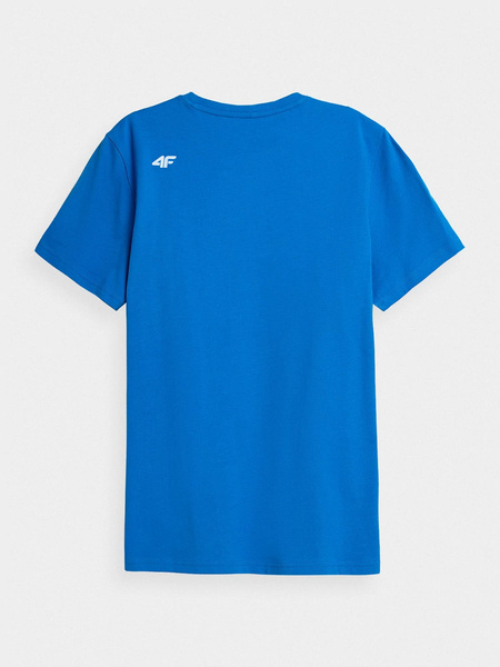 Koszulka męska 4F 4FSS22TTSHM200-36S