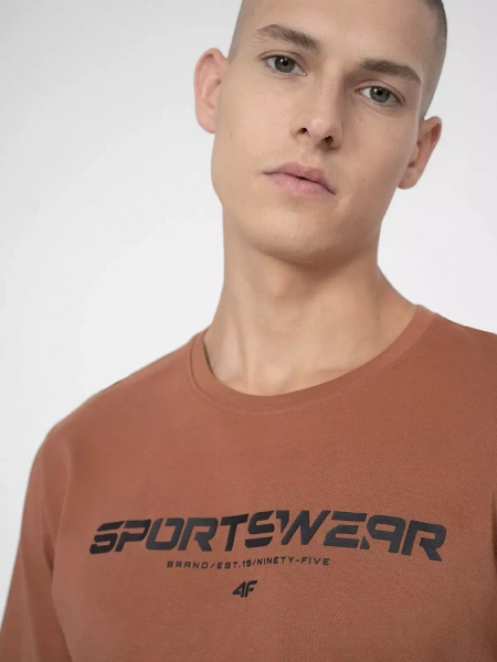 Koszulka męska 4F 4FSS23TTSHM364-81S