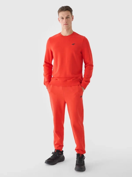 Spodnie dresowe męskie 4F 4FWMM00TTROM0943-70S