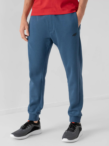 Spodnie dresowe męskie 4F NOSH4-SPMD351-32S