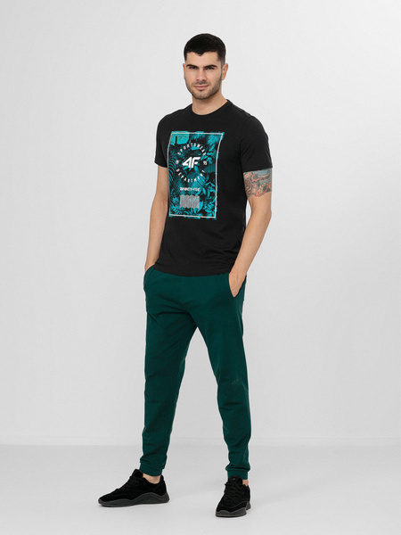 Koszulka męska 4F H4L22-TSM036-22S