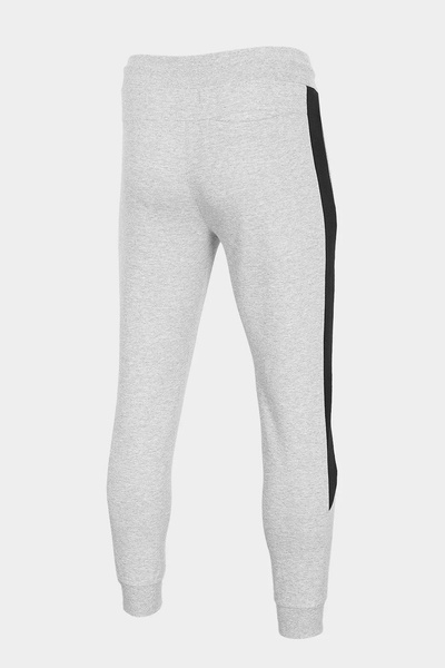 Spodnie dresowe męskie 4F H4Z20-SPMD010-25M