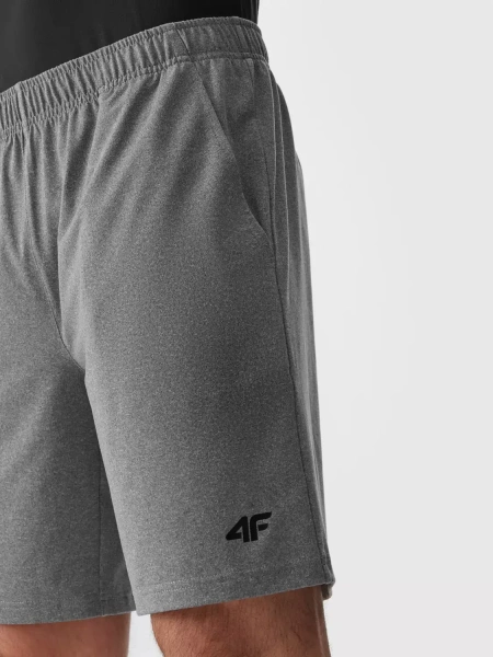 Spodenki męskie 4F 4FAW23TFSHM299-27M 