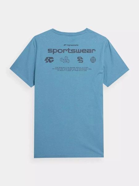 Koszulka męska 4F 4FSS23TTSHM300-33S