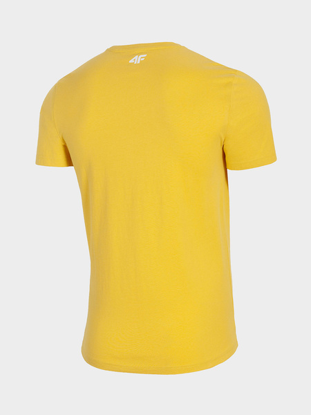 Koszulka męska 4F H4L21-TSM013-73S