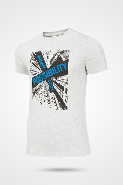 Koszulka męska 4F H4Z19-TSM005-27M