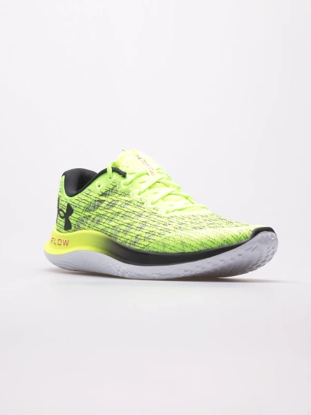 Buty męskie Under Armour Velocity Wind 2 3024903-303 