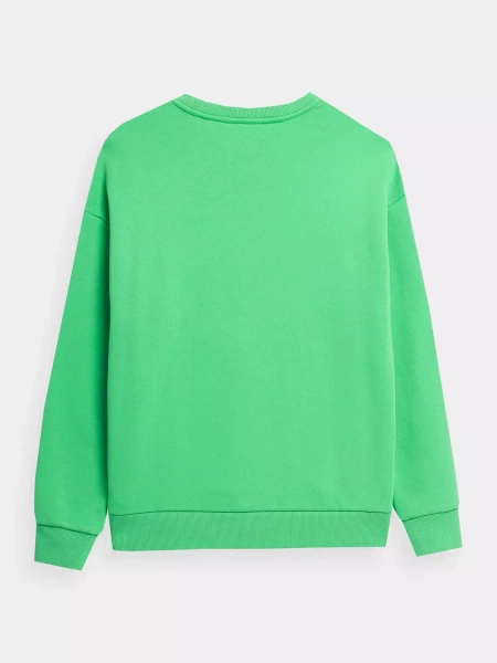 Bluza damska 4F 4FSS23TSWSF537-41S