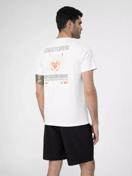 Koszulka męska 4F 4FSS23TTSHM355-10S