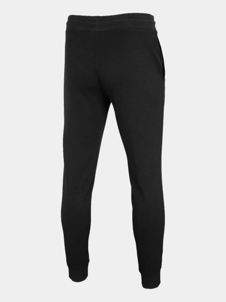 Spodnie dresowe męskie 4F 4FWAW23TTROM0800-20S 