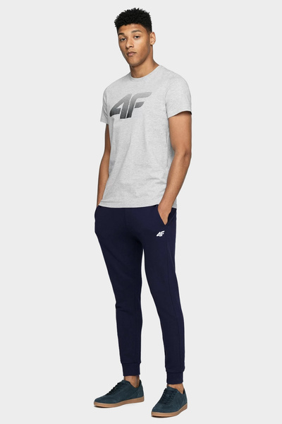 Spodnie dresowe męskie 4F NOSH4-SPMD001-31S