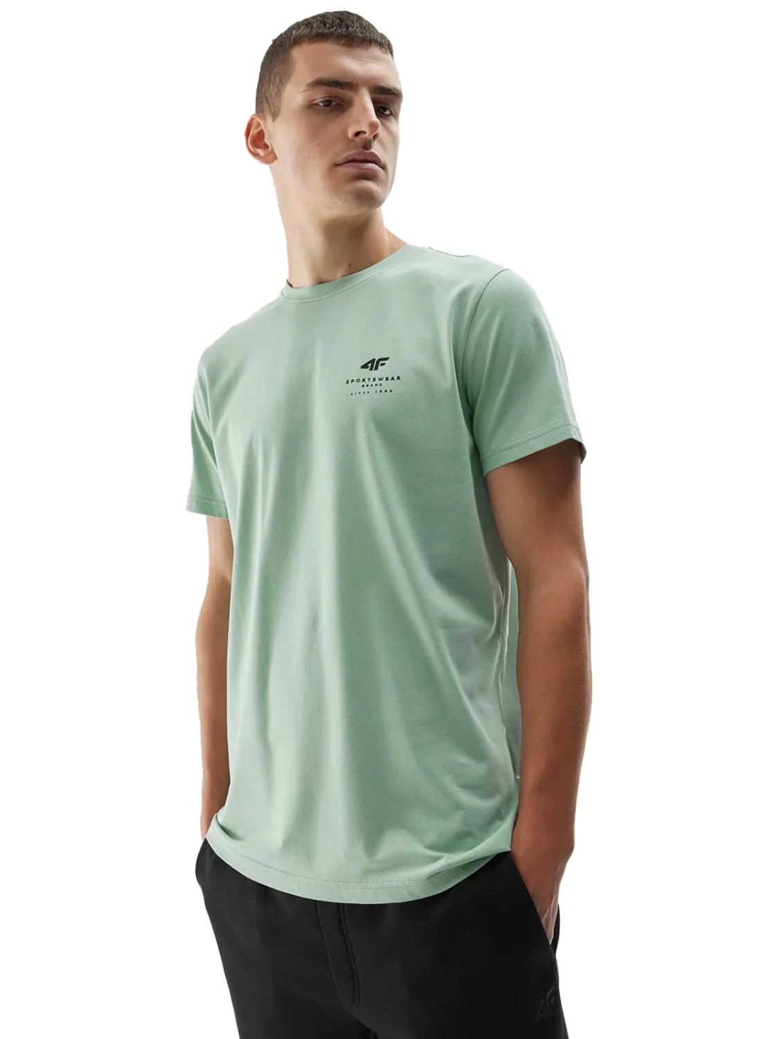 Koszulka męska 4F 4FAW23TTSHM0951-47S