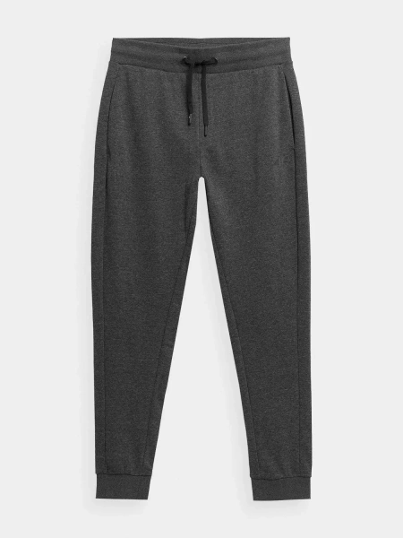 Spodnie dresowe męskie 4F 4FSS23TTROM223-23M