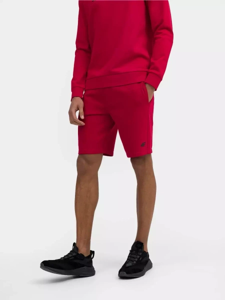 Spodenki męskie 4F 4FSS23TSHOM156-62S