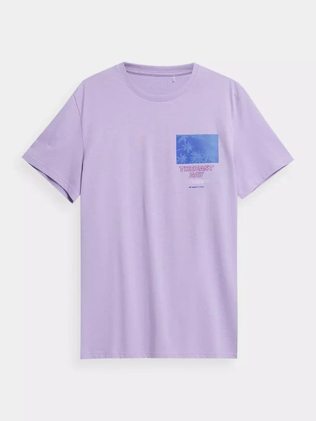 Koszulka męska 4F 4FSS23TTSHM362-52S