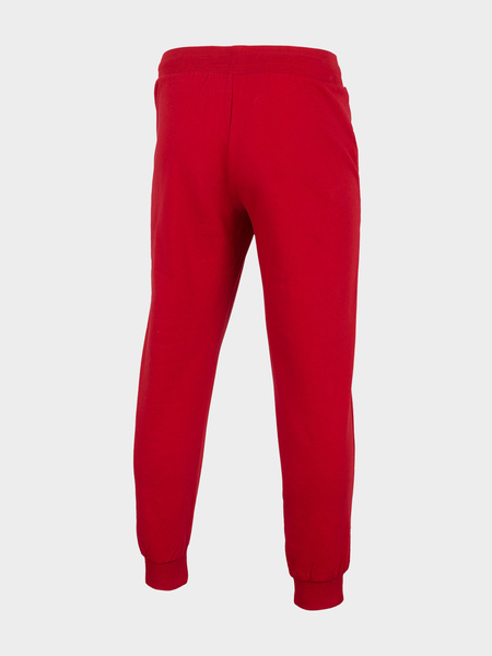 Spodnie dresowe męskie 4F H4L22-SPMD350-62S