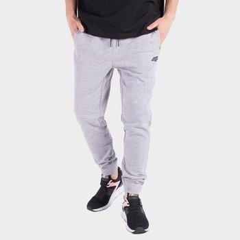 Spodnie dresowe męskie 4F H4Z19-SPMD001-27M