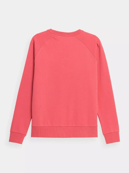 Bluza damska 4F 4FSS23TSWSF370-63S