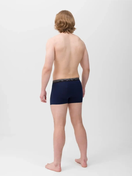 Bokserki 4F męskie 4FWMM00UBXSM051-31S (2-PAK)