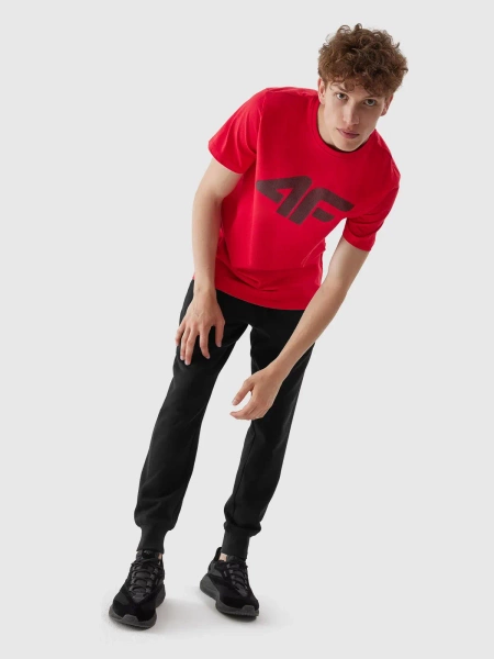 Koszulka męska 4F 4FAW23TTSHM0877-62S