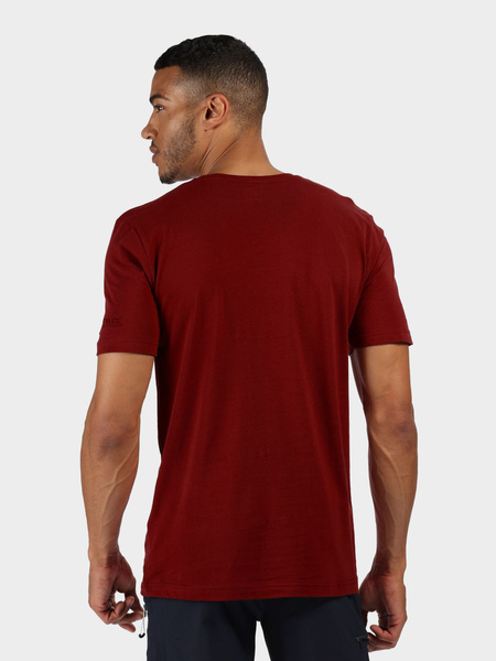 Koszulka męska REGATTA RMT218-649