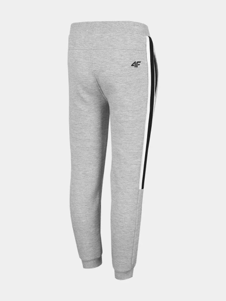 Spodnie dresowe dziecięce 4F HJZ22-JSPMD003-27M
