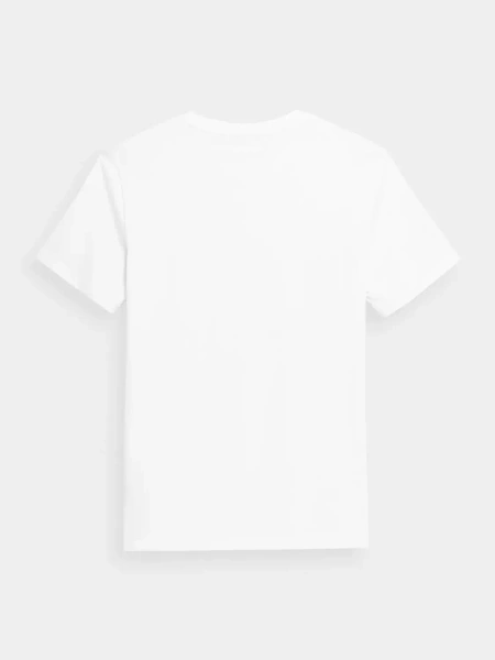 Koszulka męska OUTHORN OTHSS23TTSHM447-10S